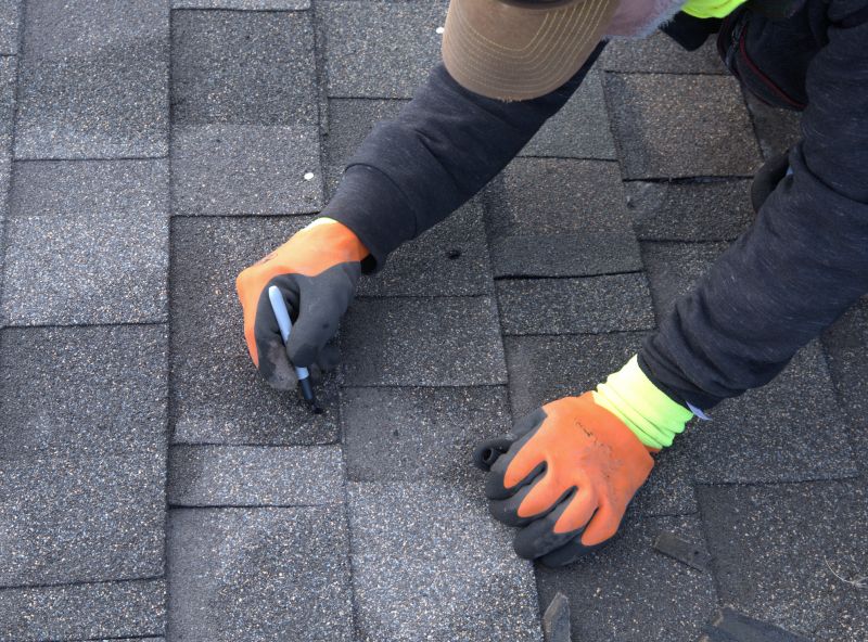 Professional Asphalt Shingle Repair Crew