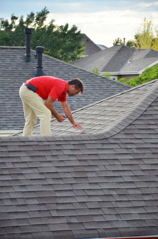 Roof Inspection and Repair Planning